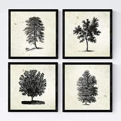 POSTER Set mit 4 Blättern der Jahrgang Hintergrund Altpapier 20x20cm Rahmenlos