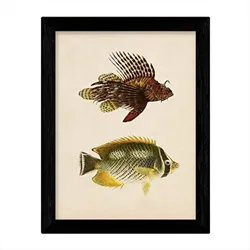 POSTER Fish – Vintage A4 Schwarzer Rahmen