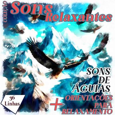 Coleção Sons Relaxantes - Sons de Águias - Silvia Strufaldi, Audio, 9798882450501