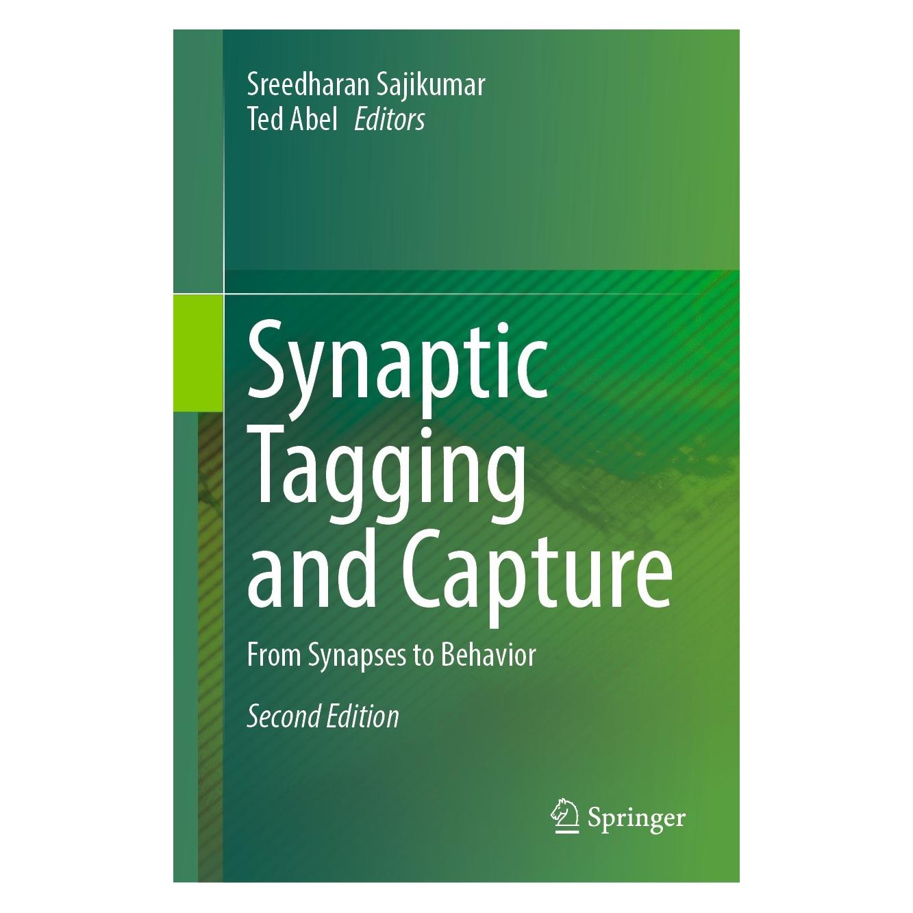 Springer Synaptic Tagging and Capture (9783031548635)