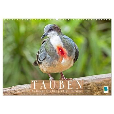 Tauben: vielfarbiges Gefieder und prächtige Federkrone (Wandkalender 2027 DIN A2 quer), CALVENDO Monatskalender