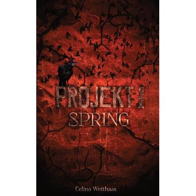 Spring - Projekt I, Taschenbuch von Celina Weithaas, Tredition, 978-3-384-62987-6