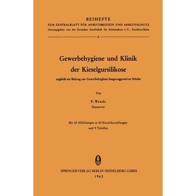 Gewerbehygiene und Klinik der Kieselgursilikose, Taschenbuch von Erich Wende, Steinkopff, 978-3-7985-0202-4