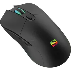 SANDBERG 640-21 - Maus (Mouse), Funk, schwarz, LED