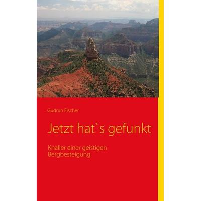Jetzt hat's gefunkt, Taschenbuch von Gudrun Fischer, BoD – Books on Demand, 978-3-8370-6029-4