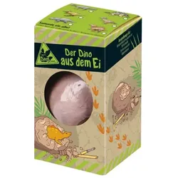 Moses Dino Ei Zum Ausgraben