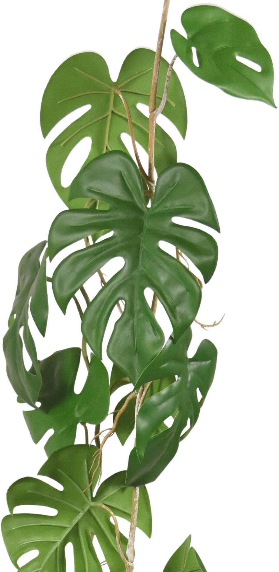 Kunstblume BOTANIC-HAUS "Monstera 110 cm", grün, B:200cm H:110cm, Kunststoff, Kunstpflanzen, Kunstblume grün B/H/L: 200cm x 110cm