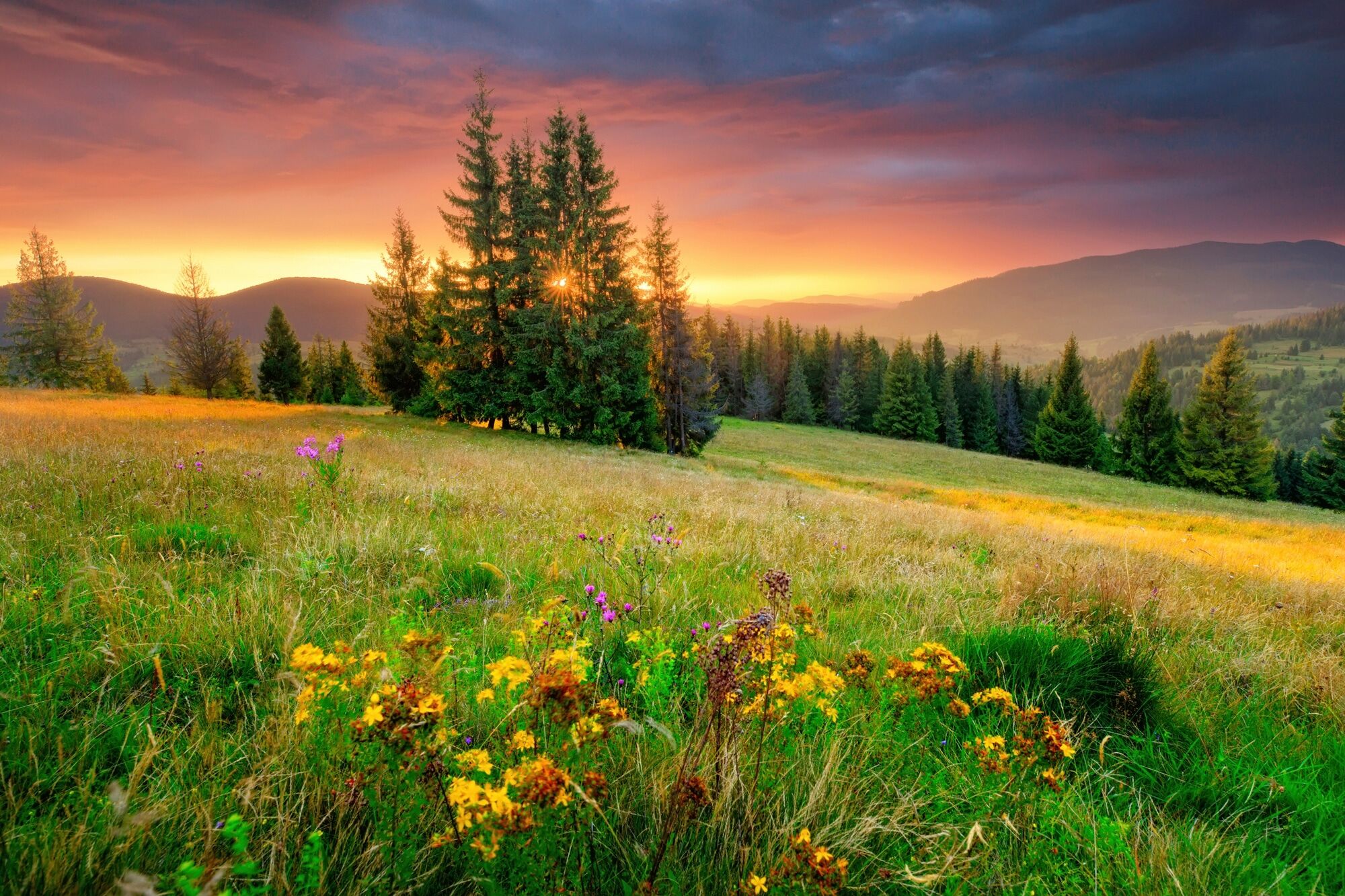 Fototapete PAPERMOON "BLUMEN-WIESE-GEBIRGE NATUR NEBEL GRÜN SONNE BERG HIMMEL", bunt, B:4,5m L:2,8m, Vlies, Tapeten