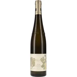 Riesling Pettenthal GG Kühling-Gillot MAGNUM 2024 BIO