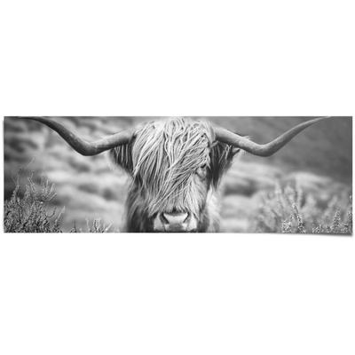 Poster REINDERS "Highlander Bulle Tiermotiv - Nahaufnahme - Hochlandrind Bild", schwarz (farbe bild(er): schwarz, weiß), B:158cm H:53cm, Papier, Bilder, Poster