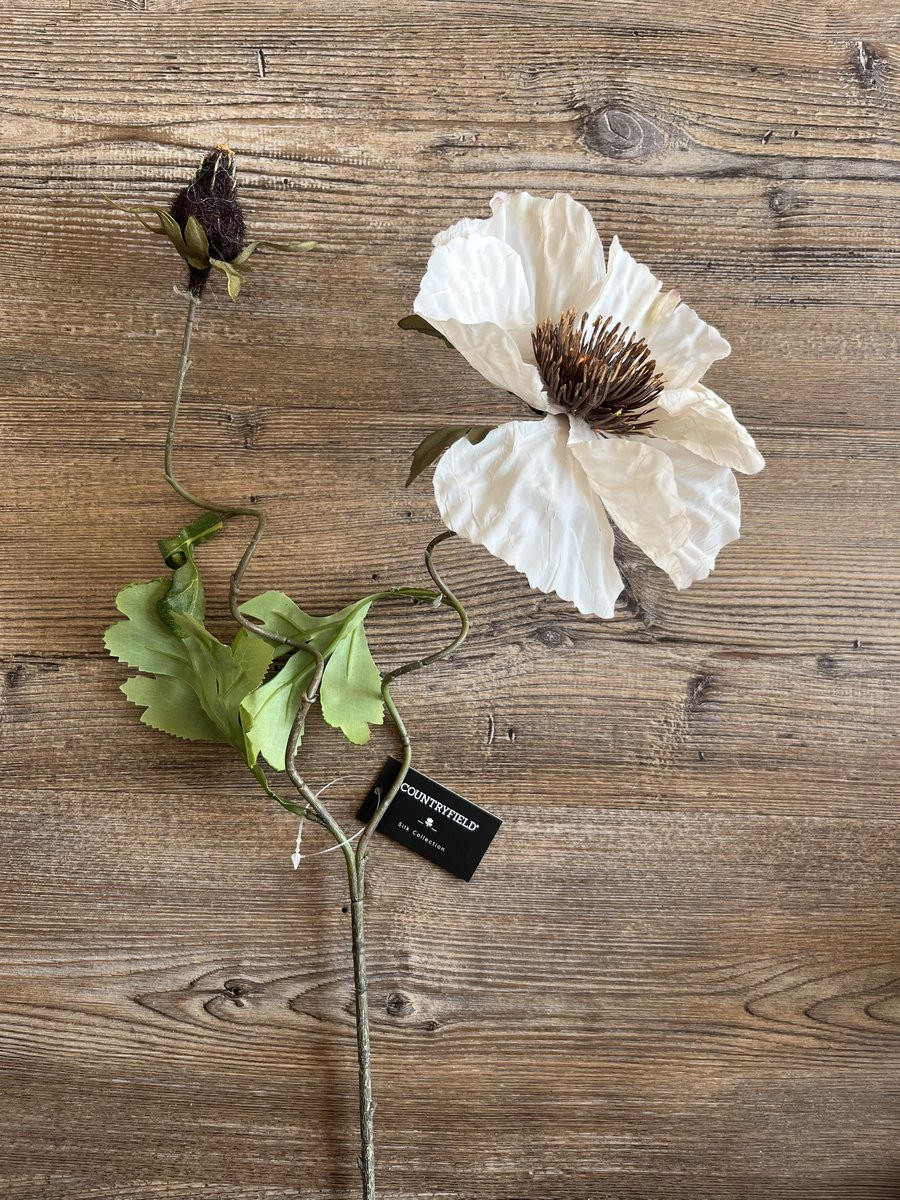 Countryfield Zijdebloem Papaver Miranda Crème