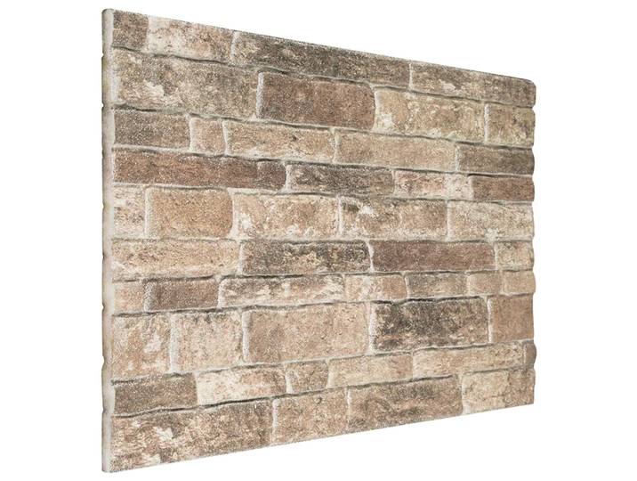 Panneaux muraux 10 pièces Multicolore 100 x 50 cm Mousse EPS