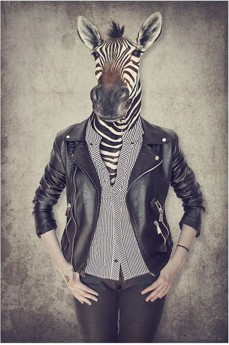 image LAND Zebra Gentleman