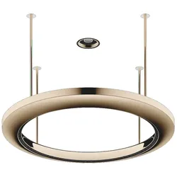 Dornbracht AQUAHALO Regenpaneel SERIENNEUTRAL, 41750979 Champagne (22kt Gold), Außendurchmesser 605 mm, Öffnungsdurchmesser 465 mm, Gewicht 6 kg