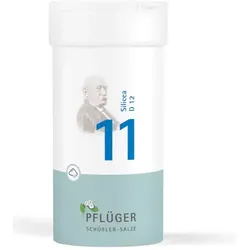 Schüßler-Salz Nr. 11 Silicea D12 100 g Pulver