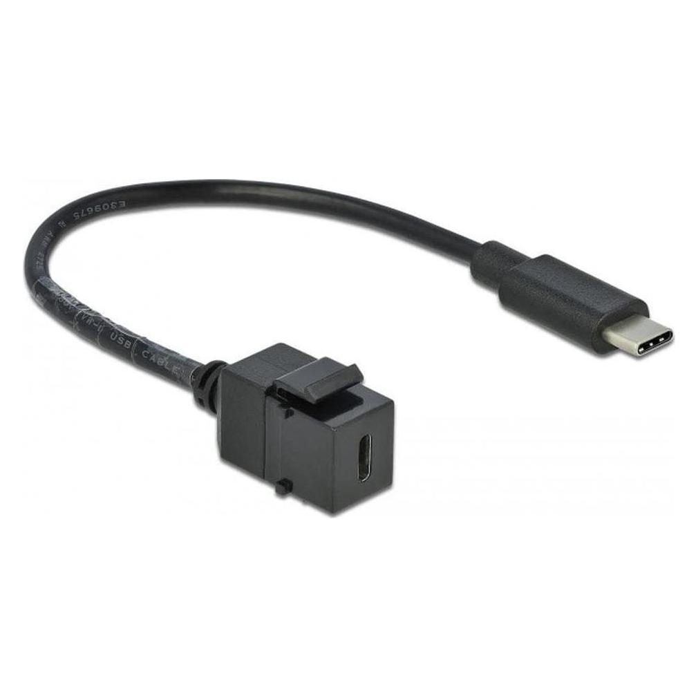 Delock Keystone module (0.25 m, USB 3.2 Gen 2) (86398)