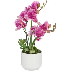 Kunstpflanze Creme/Pink
