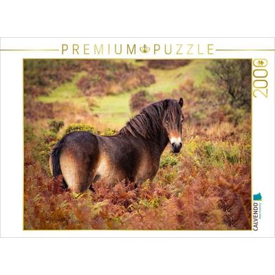 CALVENDO Puzzle Pony im Farbenrausch | 2000 Teile Lege-Größe 90x67cm Foto-Puzzle für glückliche Stunden