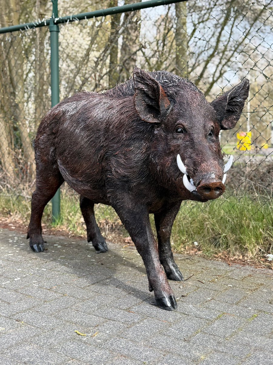 Goodyz Wilde dieren Everzwijn Staande versie Mannelijk XXXL Bruin