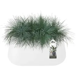 Elho, Blumentopf, pure cone long 75 (39.10 x 74 x 35.80 cm)