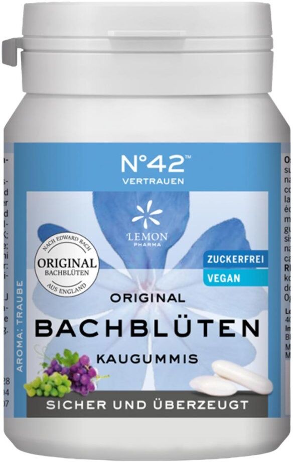 Selbstvertrauen Kaugummi nach Doktor Bach 40stk
