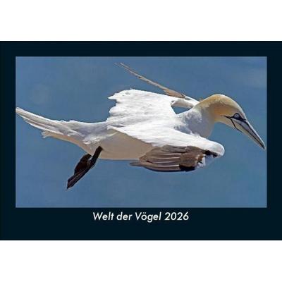 Welt der Vögel 2026 Fotokalender DIN A5