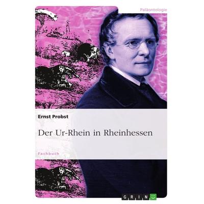 Der Ur-Rhein in Rheinhessen, Taschenbuch von Ernst Probst, GRIN, 978-3-656-58423-0