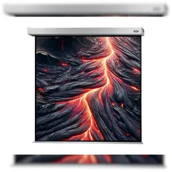celexon Leinwand Motor Professional Plus 280 x 280 cm