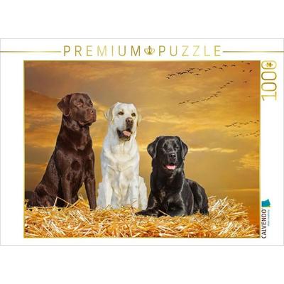 CALVENDO Puzzle Ein Motiv aus dem Kalender Labrador Retriever - Ein Freund für´s Leben | 1000 Teile Lege-Größe 64x48cm Foto-Puzzle für glückliche Stun