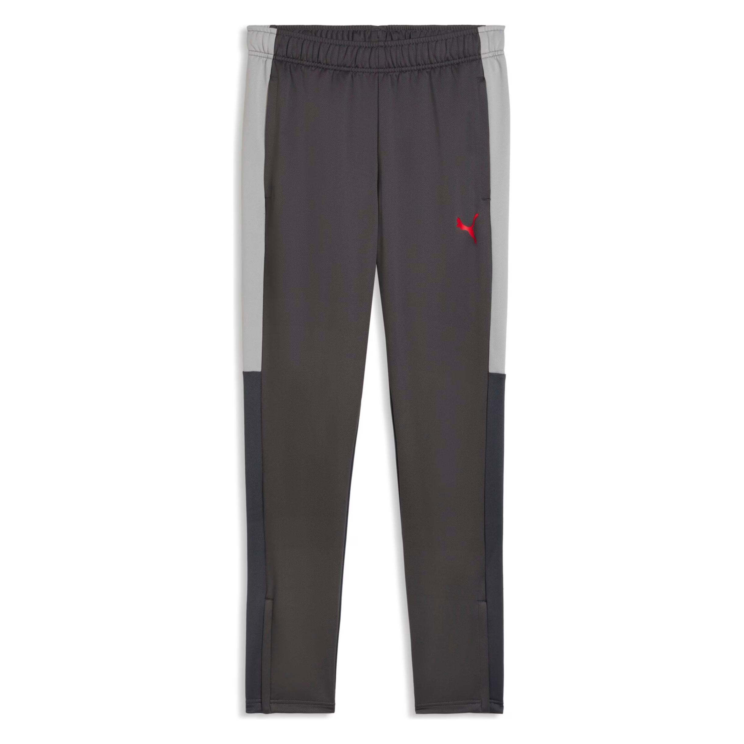 Puma IndividualLIGA Training Pants (S) (660572)