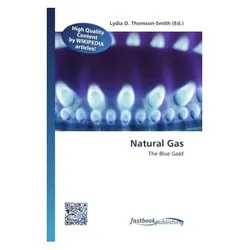 Natural Gas, Fachbücher von Lydia D. Thomson-Smith