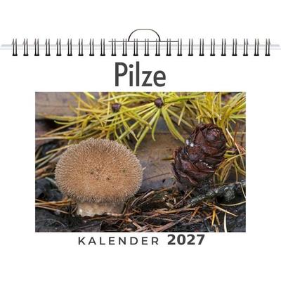 Pilze