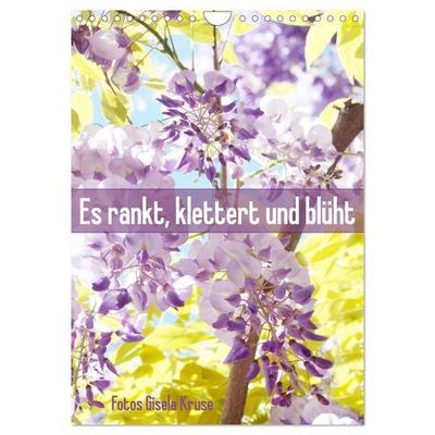 Es rankt, klettert und blüht (Wandkalender 2027 DIN A4 hoch), CALVENDO Monatskalender