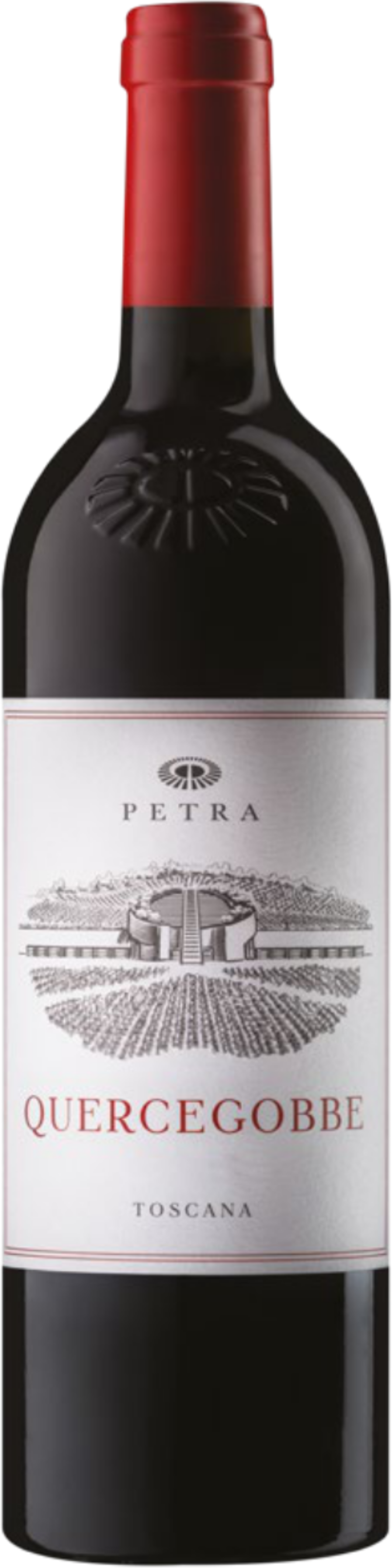 Merlot 'Quercegobbe' Petra 2024