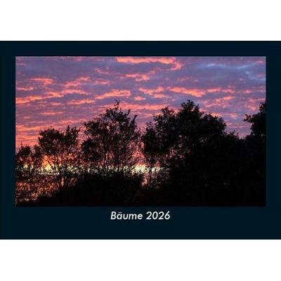 Bäume 2026 Fotokalender DIN A5