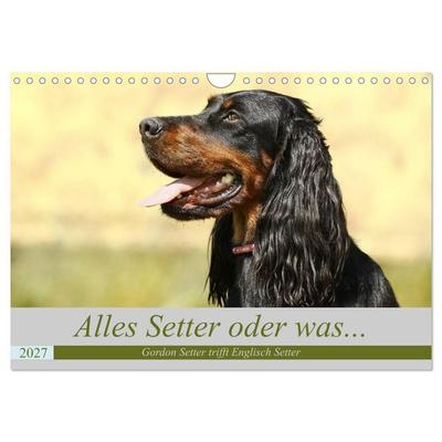 Alles Setter oder was (Wandkalender 2027 DIN A4 quer), CALVENDO Monatskalender