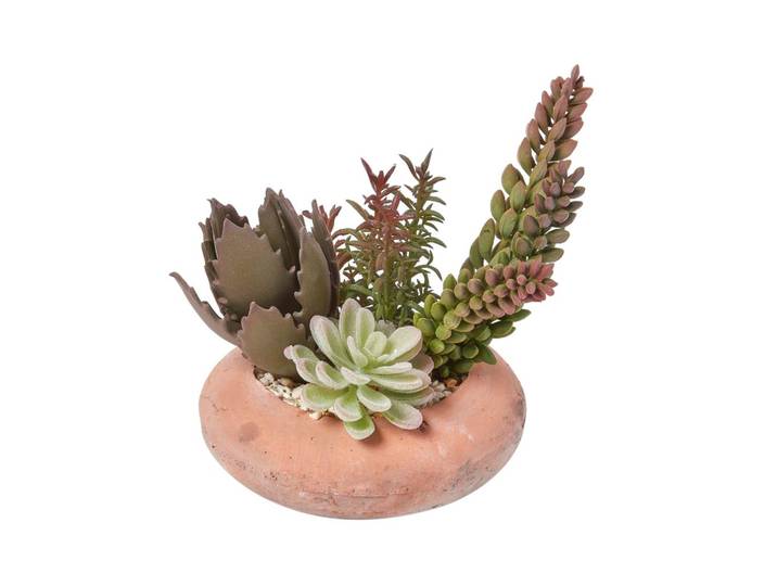 KUNSTPFLANZEN Sukkulenten-Arrangement in Deko-Schale, 15 cm