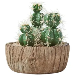 KUNSTPFLANZEN Kakteen in Holzoptik-Schale, 15 cm