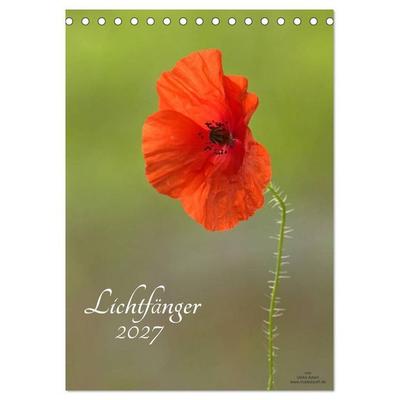 Lichtfänger (Tischkalender 2027 DIN A5 hoch), CALVENDO Monatskalender