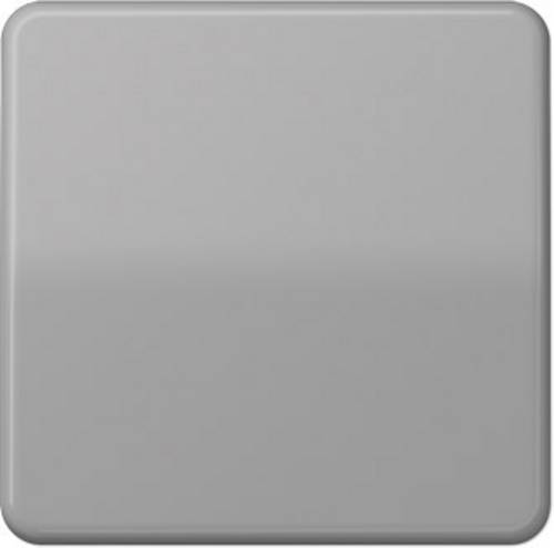 Jung 1fach Abdeckung Wechselschalter, Taster Grau CD590GR 1St.
