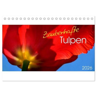 Zauberhafte Tulpen (Tischkalender 2026 DIN A5 quer), CALVENDO Monatskalender