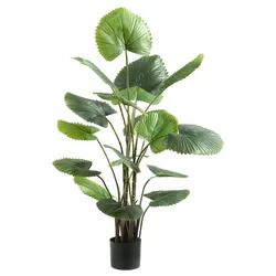 Kunstpflanze FÄCHERPALME (BHT 67x120x64 cm) - grün - BHT 67x120x64 cm