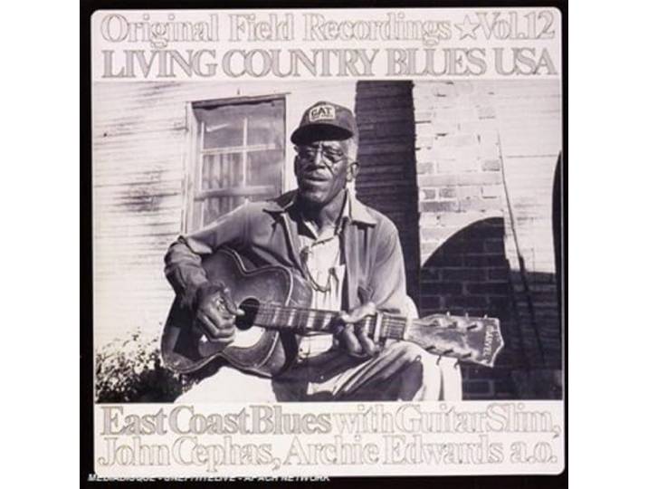 Various - Living Country Blues USA Volume 12
