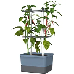 Gusta Garden Charly Chili Drinnen/Draußen Topfpflanzer Freistehend Polypropylen (PP), Aluminium Blau