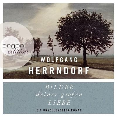 Bilder deiner großen Liebe - Wolfgang Herrndorf, Audio, 9783732413553