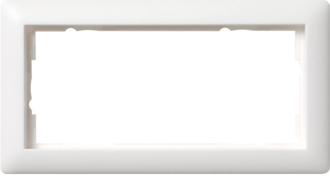 Gira Cadre de recouvrement 2f.rws Standard55 100204 (100204)