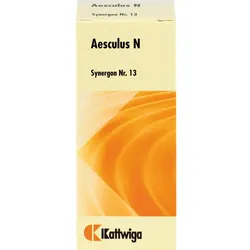 Synergon Kompl Aescul N 13 50 ML