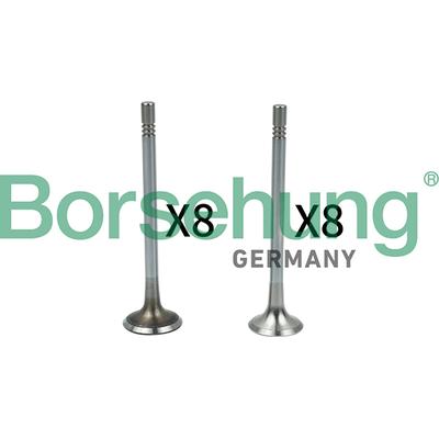 BORSEHUNG Ventilsatz, Einlass-/Auslassventil B18628 für VW
