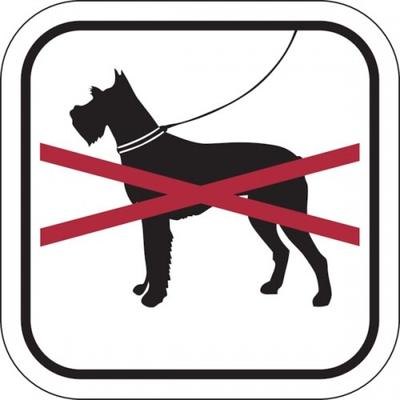 Hinweisschild, Hunde verboten, Aluminium/Folie, 200 x 200 mm - 200x200 mm Folie selbstklebend