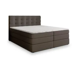 BOXSPRINGBETT AREZI 140x200 cm mit Matratze und Topper - Braun